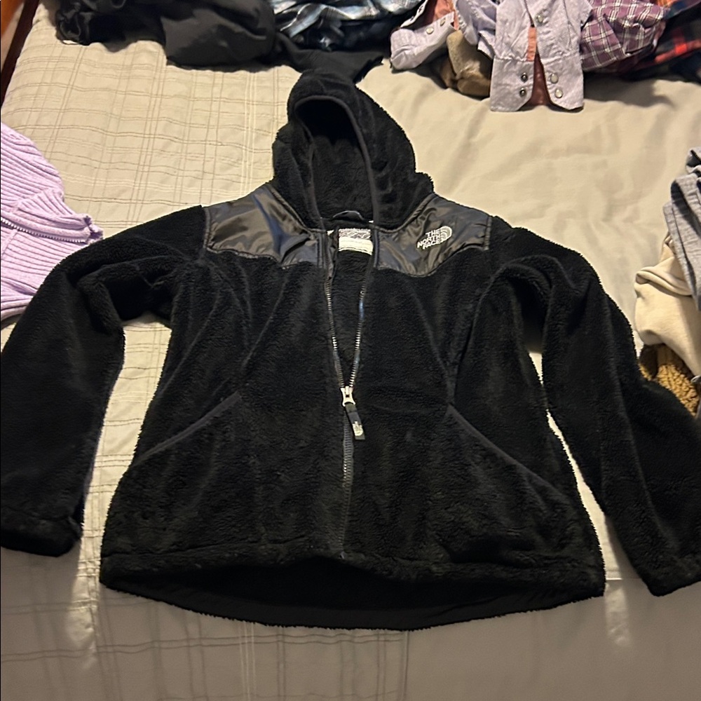 The North Face Black Hooded Fleece Jacket